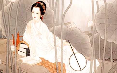 我眼中的李清照作文(精选21篇)