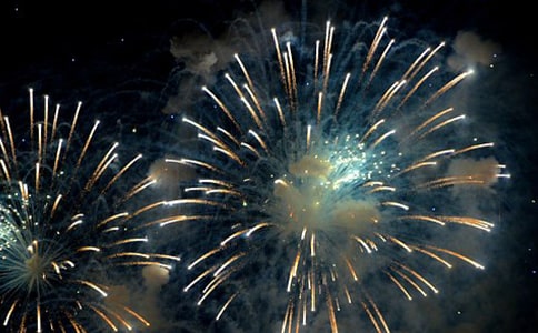 ����Fireworks�񻨶�������ѧϰ�̳�
