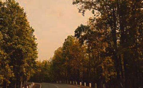 ������ϵ���ʹ_500��