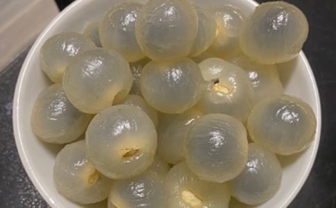 ���Ƽ���������������ƪ