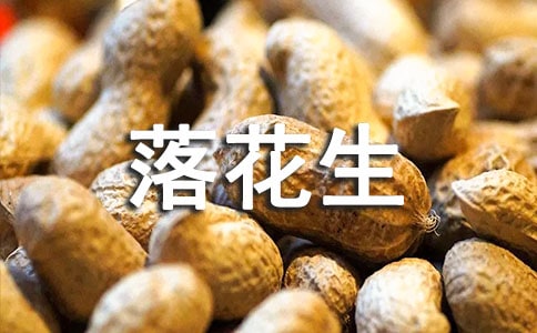 �仨���Ľ�ѧ��˼