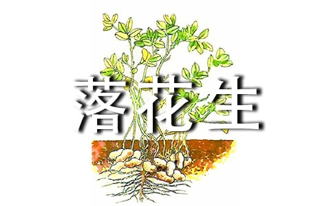 ���仨�����̰�����