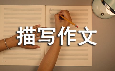 һ����������� ������д����700��