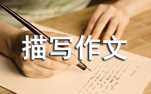 ����������д����3ƪ