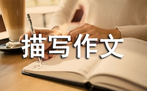 ������д���ģ���ѡ22ƪ��