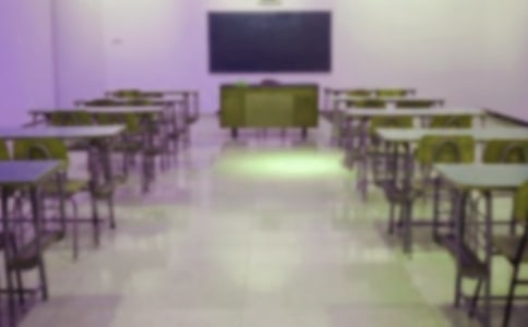 我的母校独秀小学作文