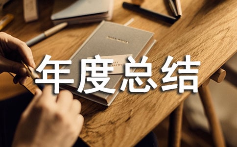 审计工作个人年度总结