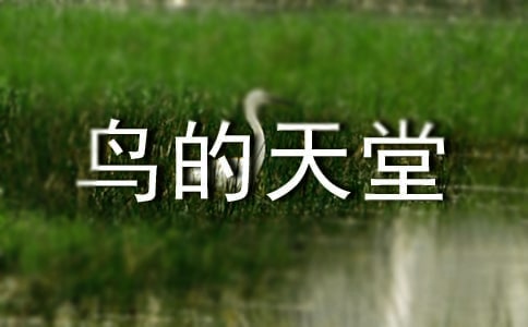 鸟的天堂教案