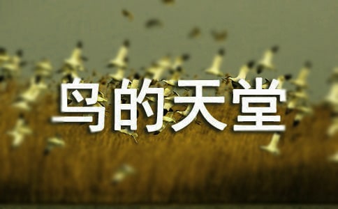 ������ý�ѧ���(11ƪ)