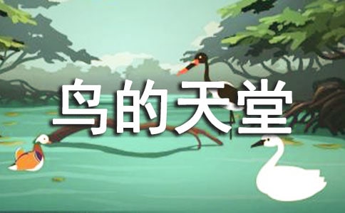 鸟的天堂作文【荐】