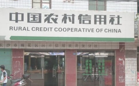 农村信用社实习报告9篇