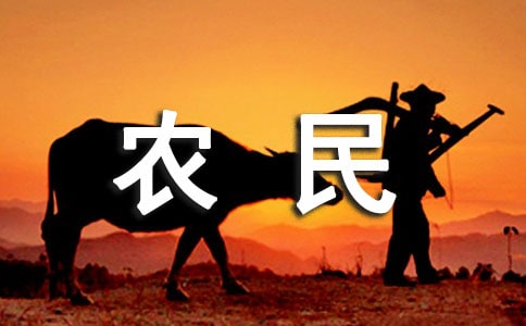 我的农民爷爷作文(通用47篇)