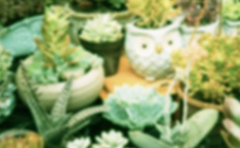 �Ҽҵ�������������