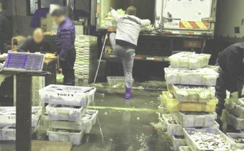 食用菌批发合同书