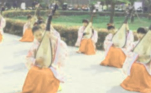 �Ӿ�����������������