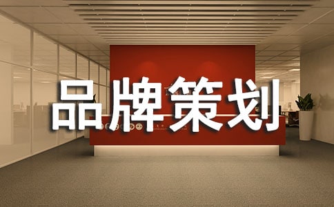 品牌策划的方案(精选20篇)