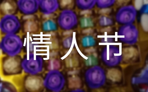 2015���ɫ���˽�������