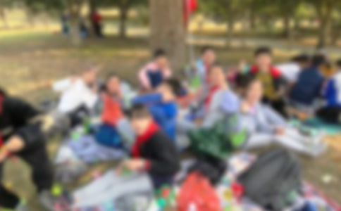 小蚂蚁去秋游作文