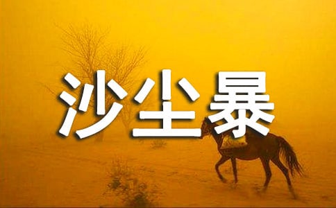 �ξ����ɳ������������