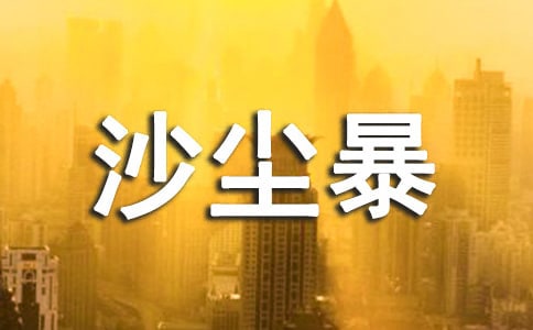 ��ɳ����Ϊ�������