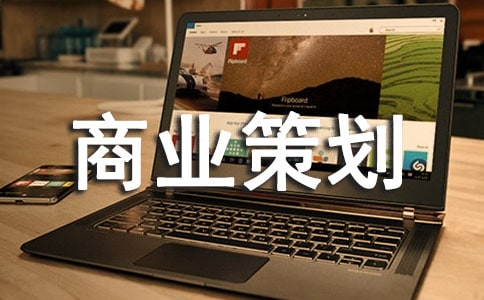 商业策划书15篇