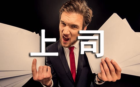 给上司的感谢信(12篇)