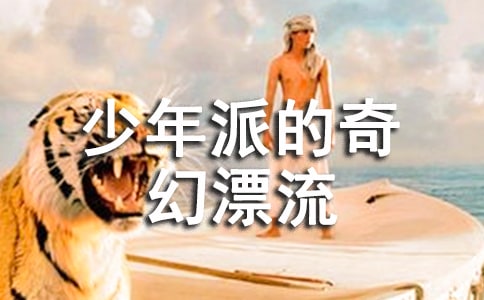 观《少年派的奇幻漂流》有感(通用13篇)