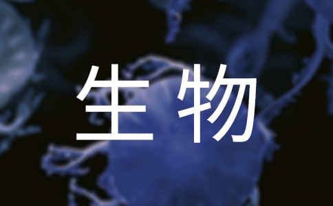 ��������������2ƪ