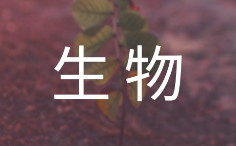 ��������д����Ĵ���