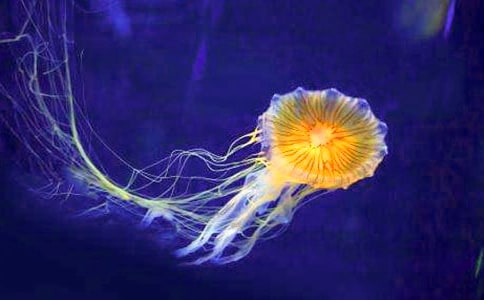 �۲�ˮĸ������4ƪ