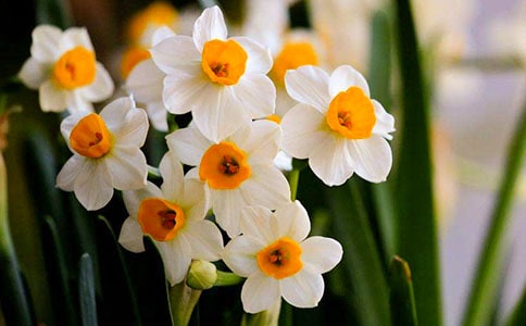 �ɰ���ˮ�ɻ�����