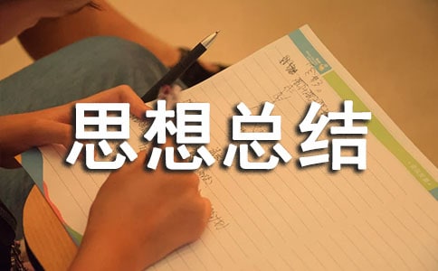 三年思想总结实用