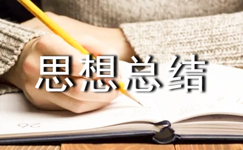 精选工作思想总结