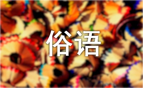 关于鸟有关的俗语谚语