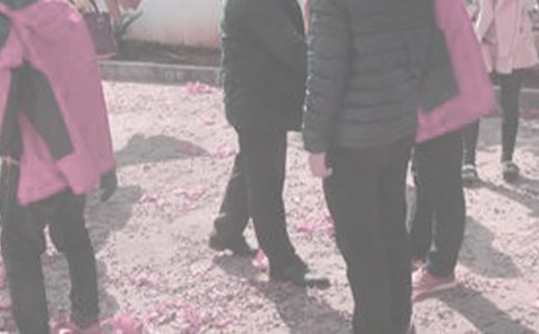 ̽�����뺯��ʽ