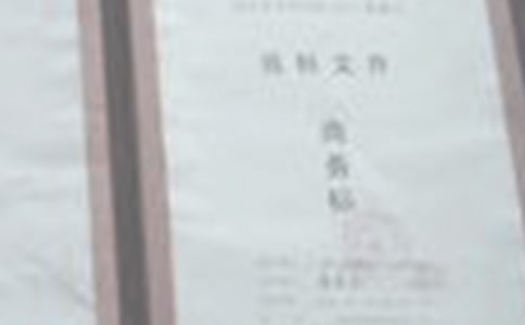 乡镇投标执行情况的自查自纠报告