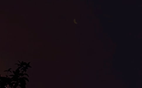 �Ƽ�ů����������115�侫ѡ