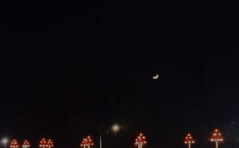 ���Ÿ������������ȫ����ѡ95�䣩