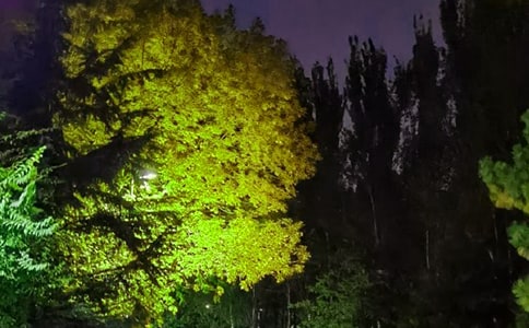 �Ƽ����������������140�侫ѡ