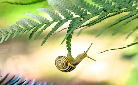 �۲���ţ�����ģ�ͨ��4ƪ��