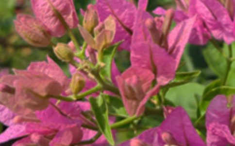 ů���簲�ʺ����ѡ40�䣩