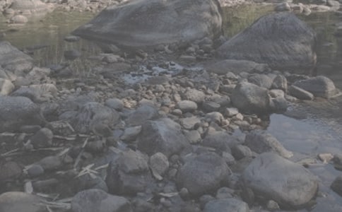 贾平凹《溪流》及赏析