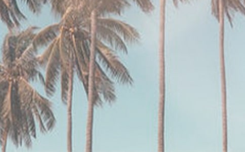 �����ļ��ķ�����3ƪ