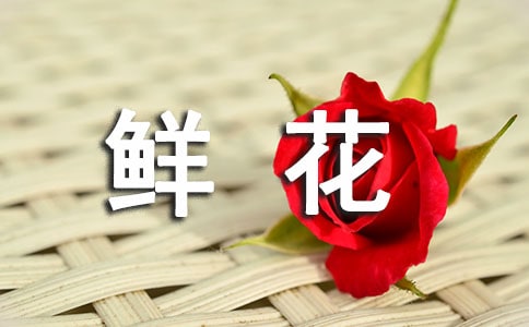 ��д�ʻ������ִ������