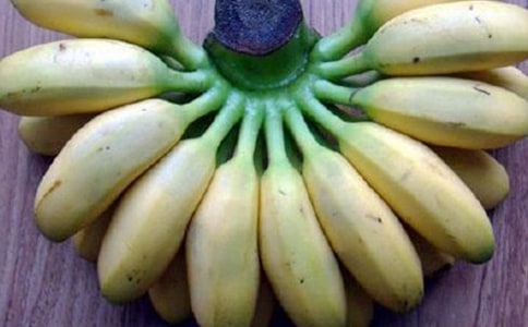 我爱故乡的香蕉作文(通用25篇)
