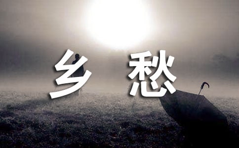������д800������