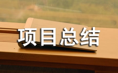 监理年度项目总结范文