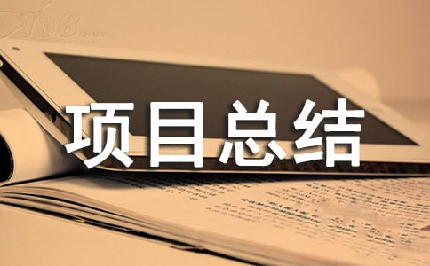it项目总结报告15篇(必备)