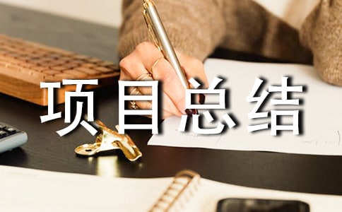��Ŀ�ܽᱨ��[����]