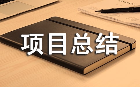 监理年度项目总结通用